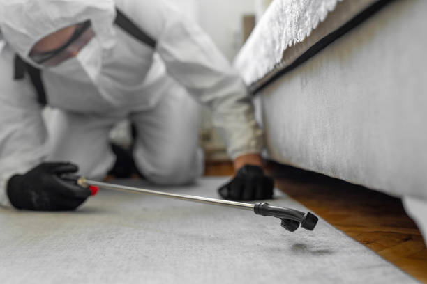Professional Termite Control technician working in Le Sueur, MN