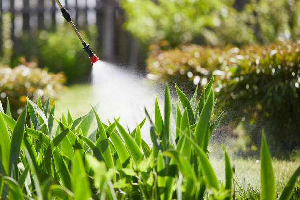 24/7 Emergency Termite Control experts in Le Sueur, MN
